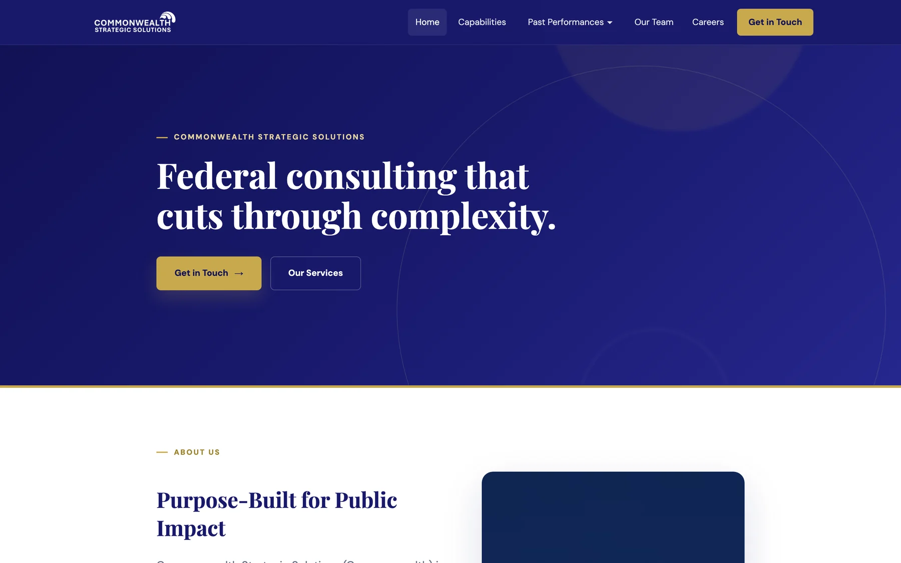 The cw-ss.com homepage: Federal consulting that cuts through complexity, in white serif type on deep navy, with gold buttons