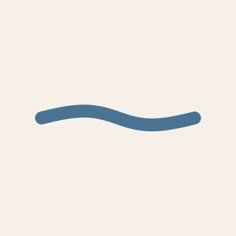An earlier Steady app icon: a single blue wave on cream